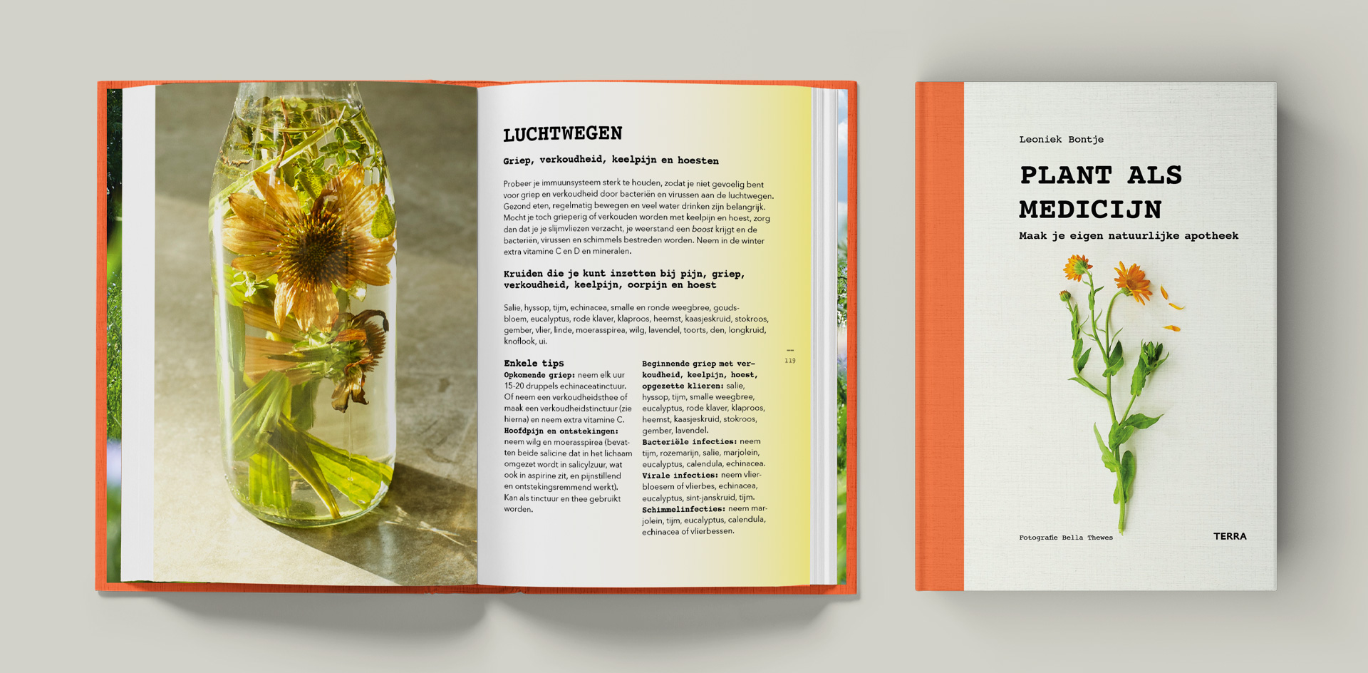 CoverSpread_Plant_02