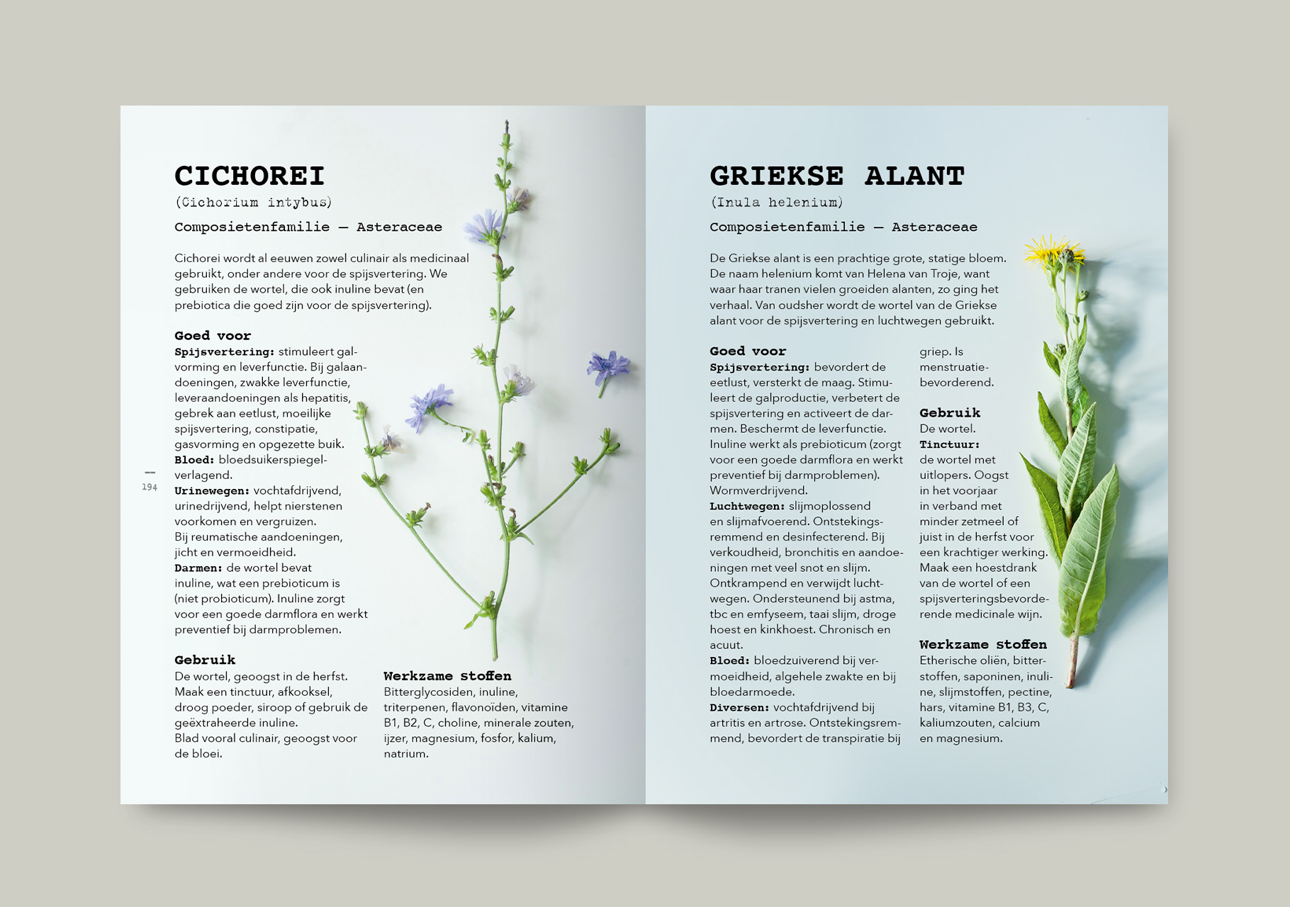 Plant_spread2