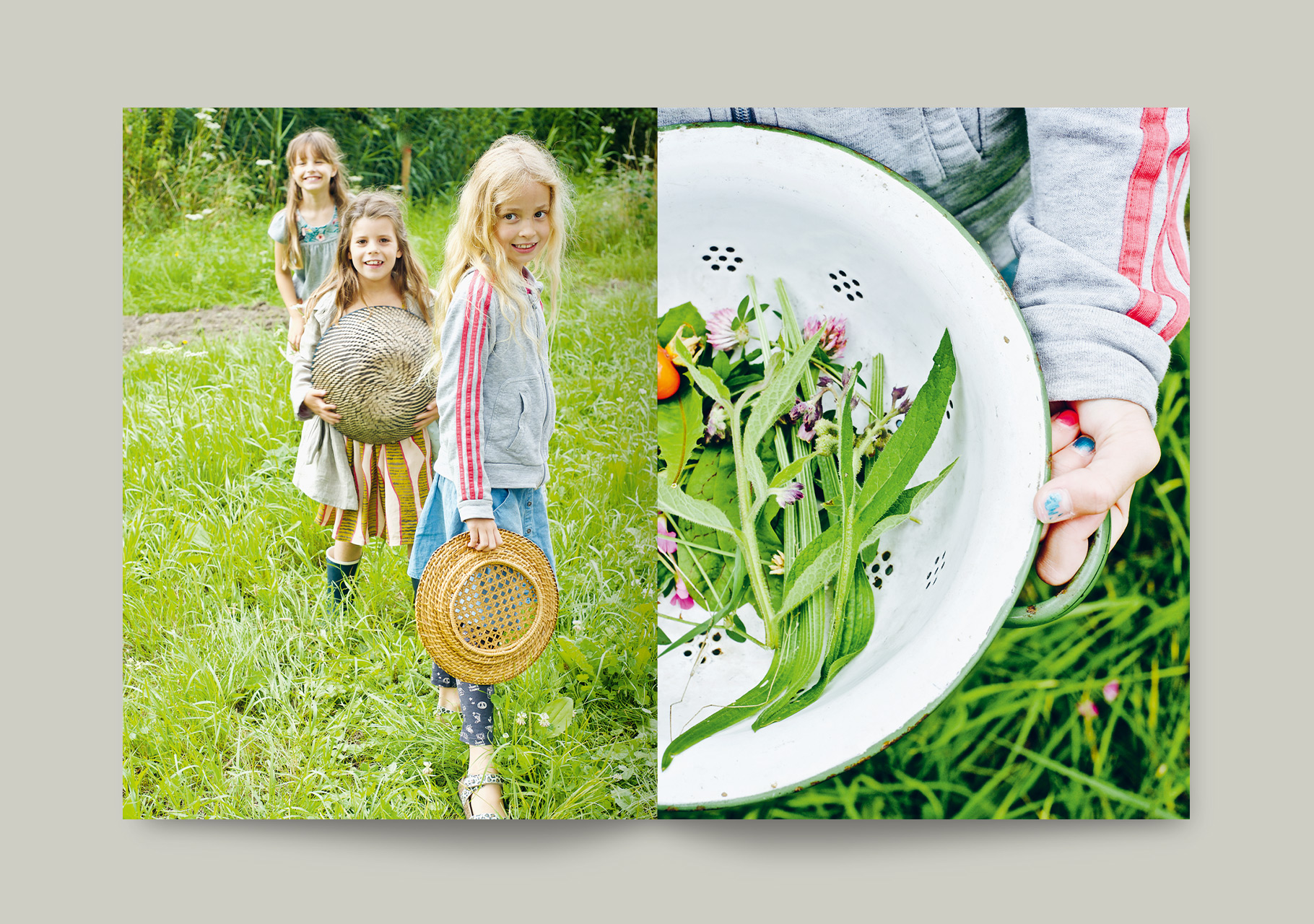 Wild_spread2