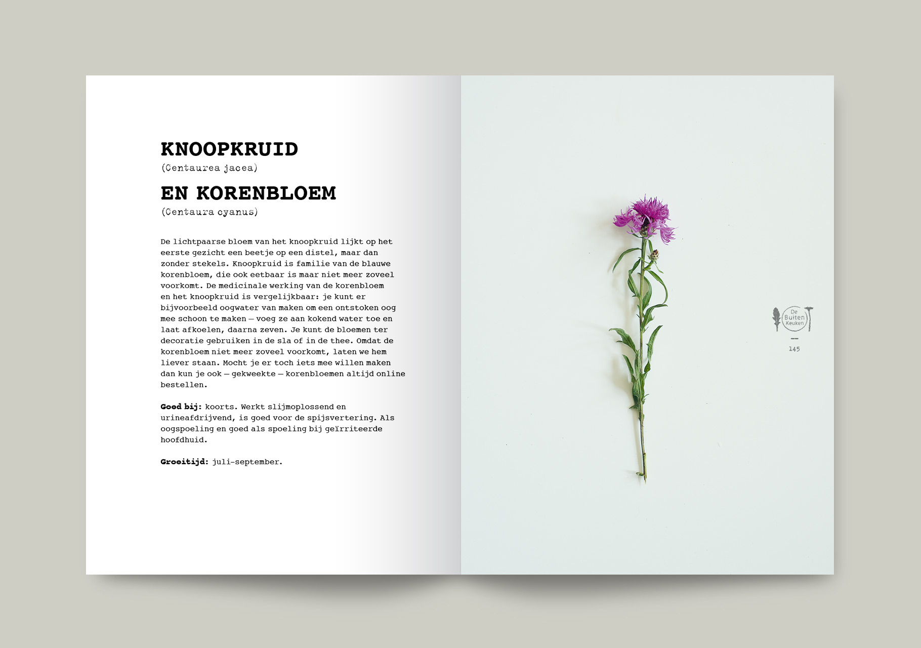 Wild_spread3