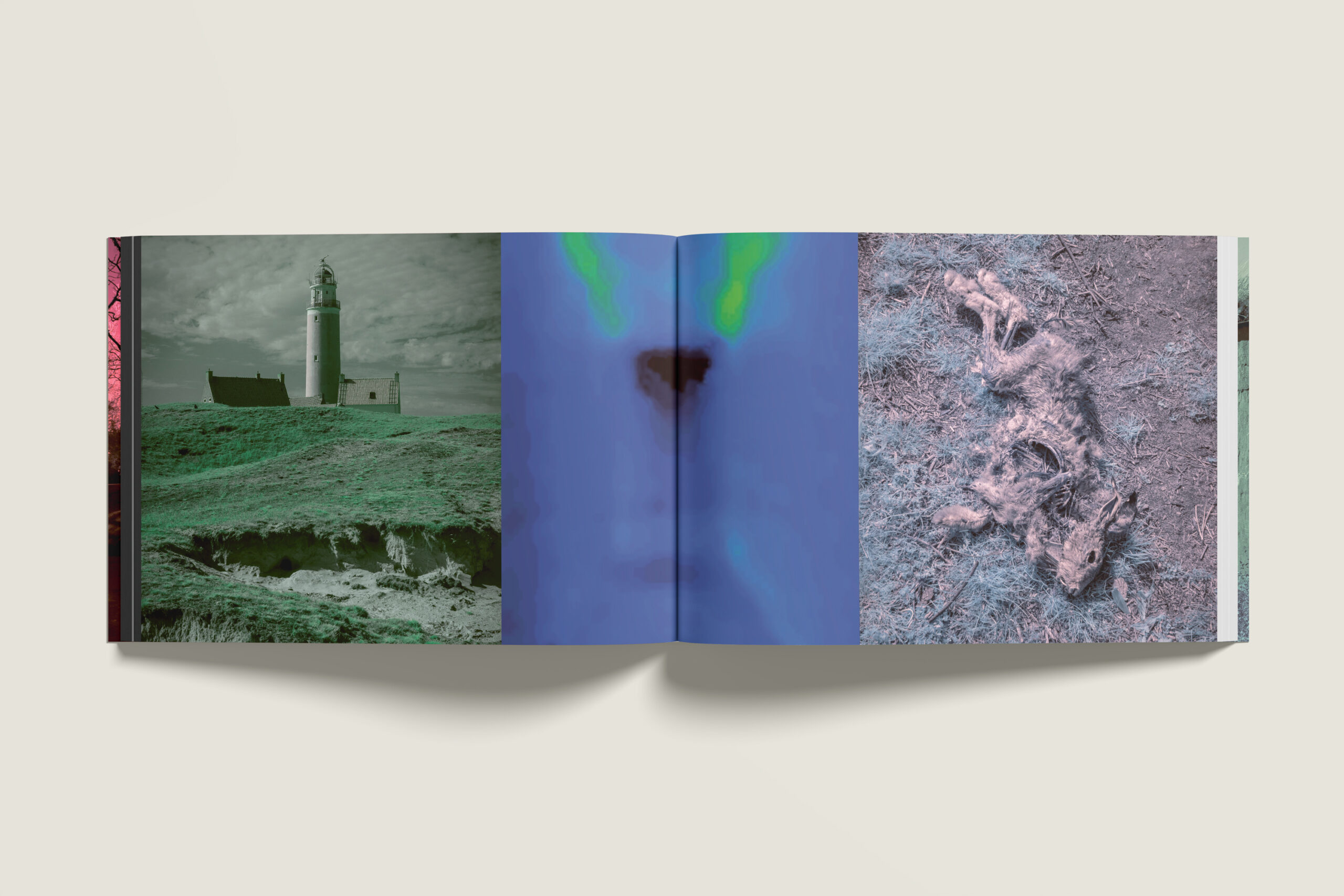 02-Landscape-Binnen3